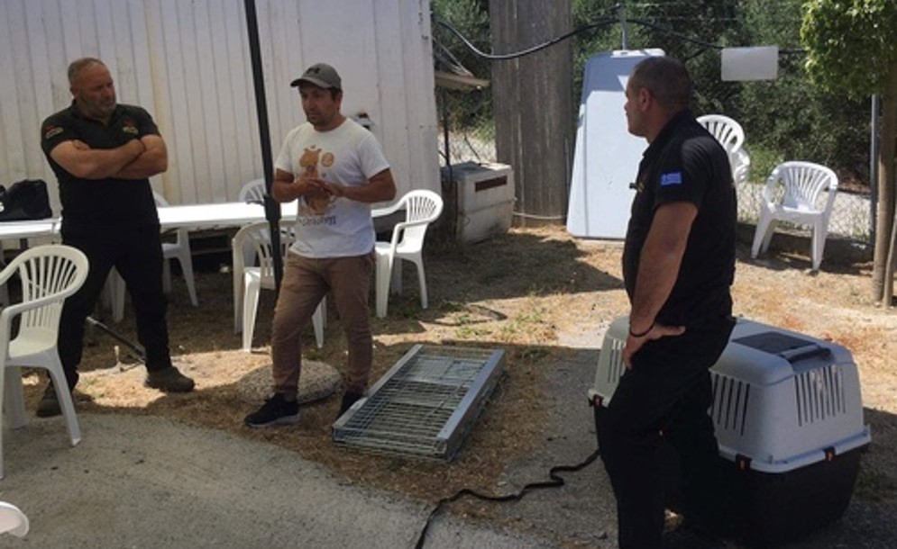 Εκπαιδευτικό σεμινάριο για την ασφαλή προσέγγιση των αδέσποτων ζώων