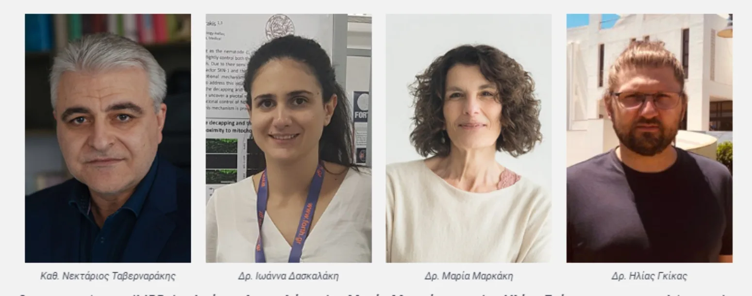 Οι ερευνητές του ΙΜΒΒ Δρ. Ιωάννα Δασκαλάκη, Δρ. Μαρία Μαρκάκη και Δρ. Ηλίας Γκίκας, με επικεφαλής τον Δρ. Νεκτάριο Ταβερναράκη 
