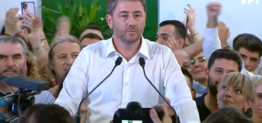 Ο επανεκλεγμένος πρόεδρος του ΠΑΣΟΚ Νίκος Ανδρουλάκης